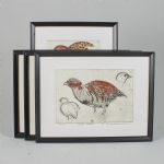 1621 8373 COLOR ETCHINGS
